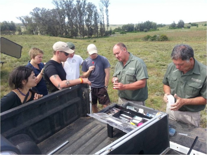 volunteers watch on as the Shamwari team show them how to prepare darts