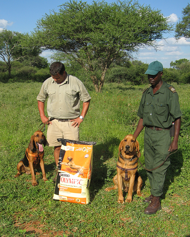 HESC team members with the poaching bloodhound