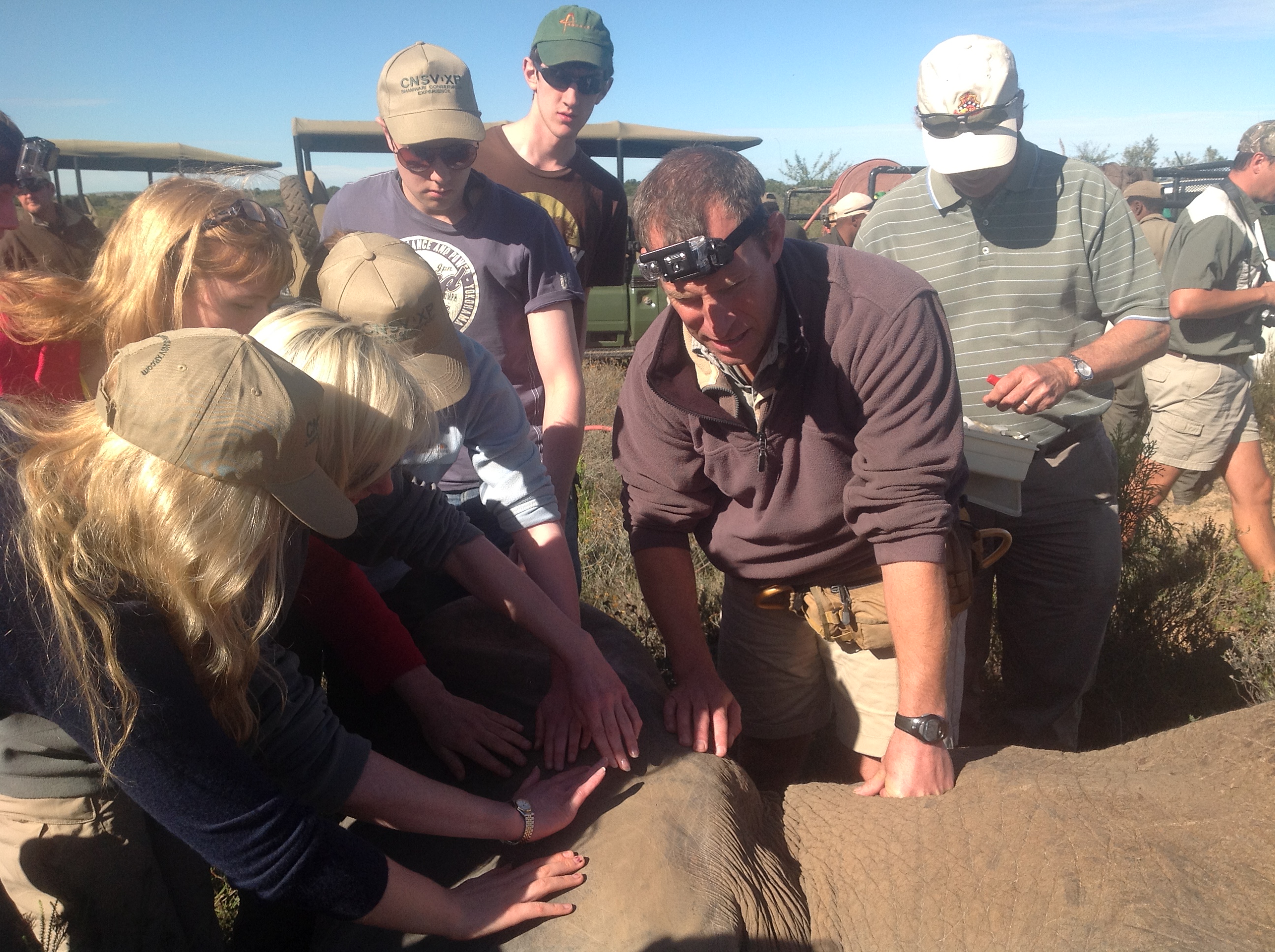 volunteers on a vet eco experience attend to a poorly elephant