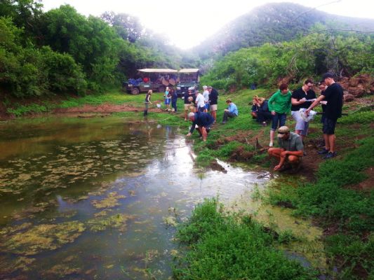 Volunteers testing the river system at the Shamwari Conservation Experience