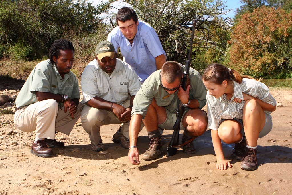 Wildlife rangers show volunteers how to track wildlife