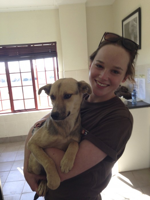 Vet volunteer with local dog