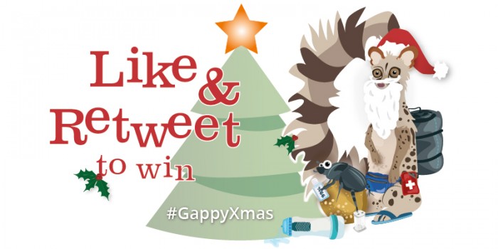 Gap Africa Christmas 2015 competition