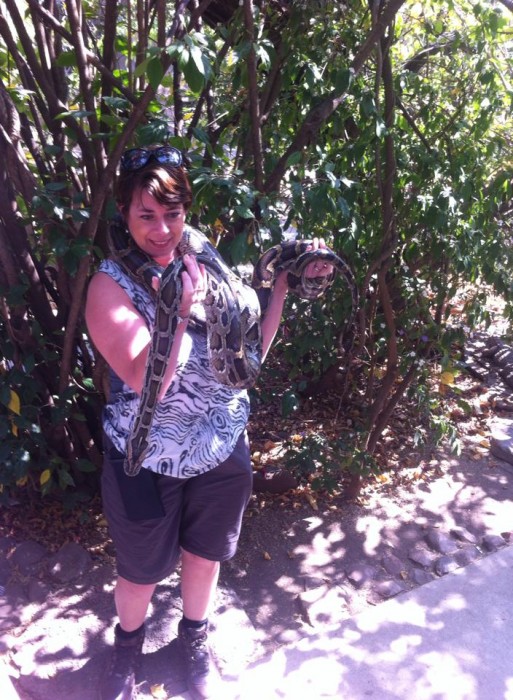 A volunteer handing a large snake at HESC