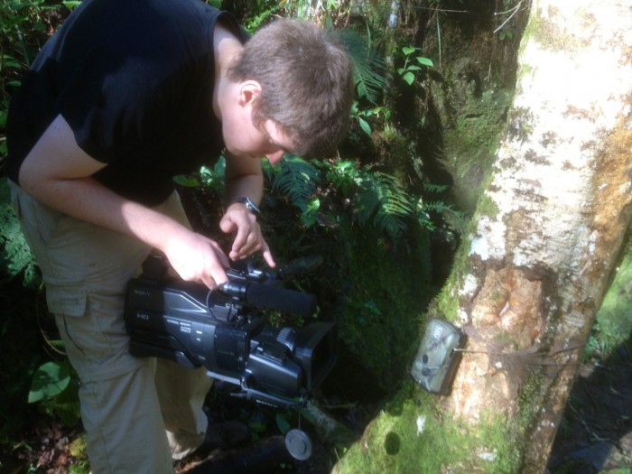One of our volunteers recording in the jungle