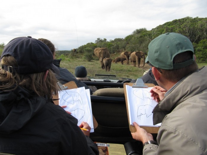 Volunteers sketch an elephant herd, including a baby