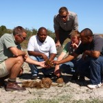 Game rangers and volunteers examining dung