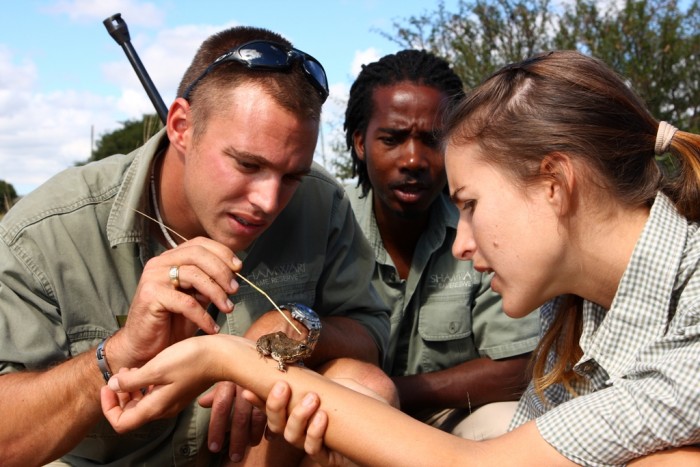 Game rangers and volunteers monitor a frog on a volunteers arm