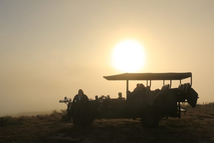 The sun sets as volunteers monitor black rhinos