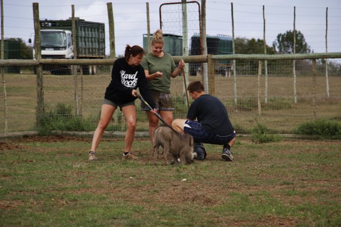 rehab-cleaning-enclosures